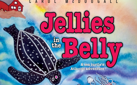 Front cover of Jellies in the Belly. Watercolour leatherback turtle over ocean background with house on shoreline