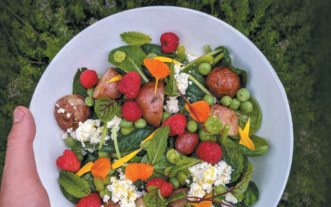 Front cover of The Grounds Cafe: Seasonal Dishes from Murray
